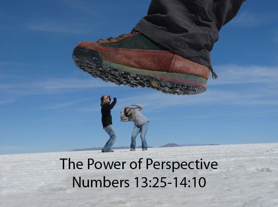 The Power Of Perspective Shbc